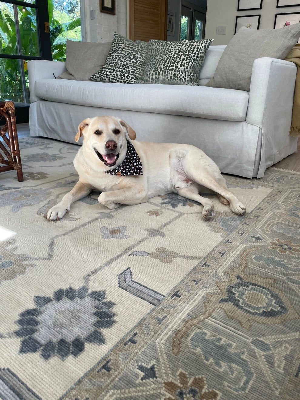 Handknotted  Rug Turkish Knot Oushak Rug Traditional Area Rug Living Room Rug